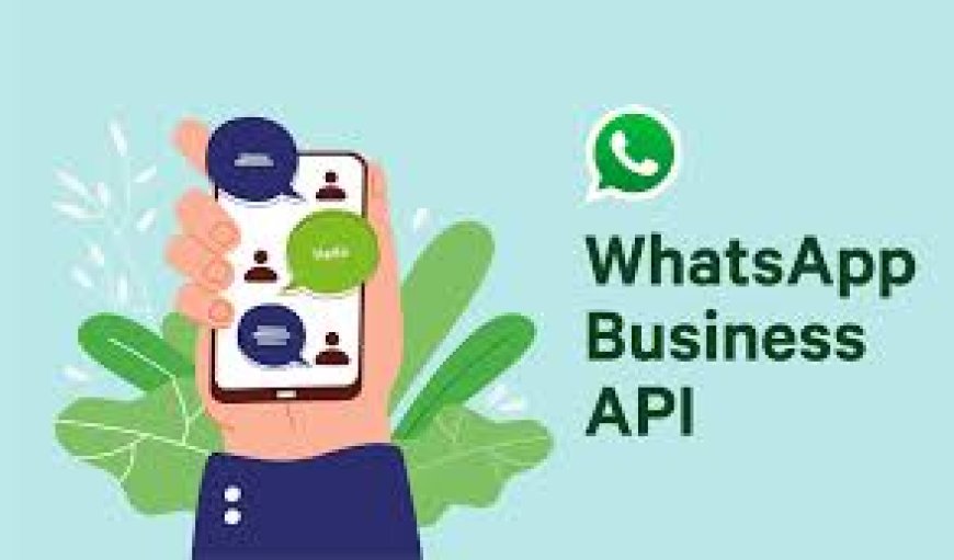 How Can Insurance Firms Improve Claims Processing with WhatsApp Business API?