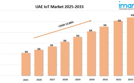 UAE IoT Market Size, Trends, and Growth Analysis 2025-2033