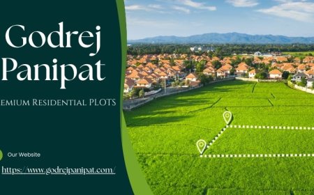 Godrej Panipat: Spacious Plots for Your Dream Home