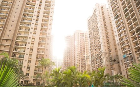 A Lifestyle & Wellness Insight for Modern Living