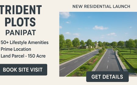 What Makes Trident Plots Panipat Haryana Worth Investing In