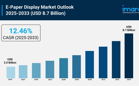 E-Paper Display Market Size, Share, and Growth Forecast 2025-2033