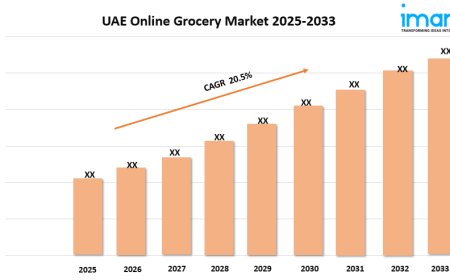 UAE Online Grocery Market Report 2025 | Growth, Trends, and Forecast by 2033