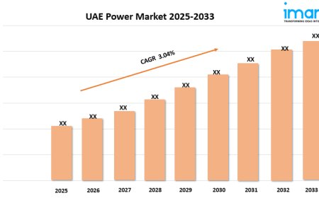 UAE Power Market Growth, Size, and Forecast 2025-2033