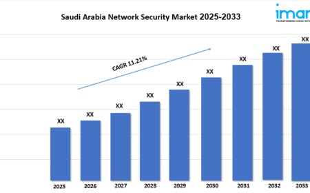 Saudi Arabia Network Security Market Outlook, Demand and Forecast 2025-2033