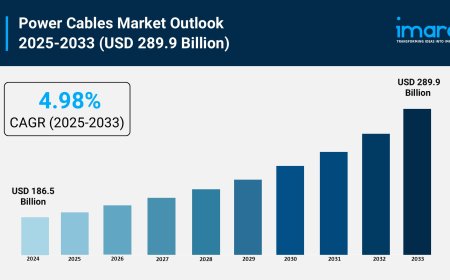 Power Cables Market Size, Growth, and Forecast Report 2025-2033