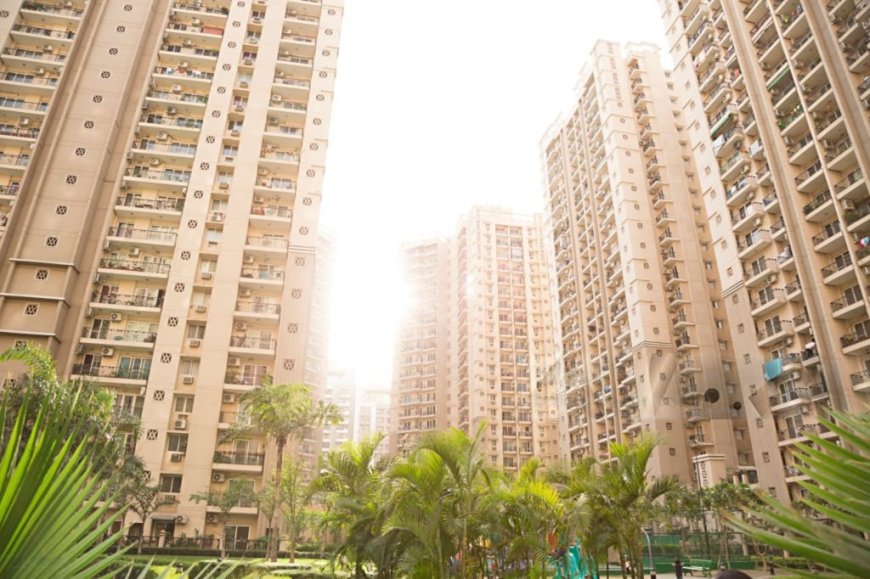 A Lifestyle & Wellness Insight for Modern Living