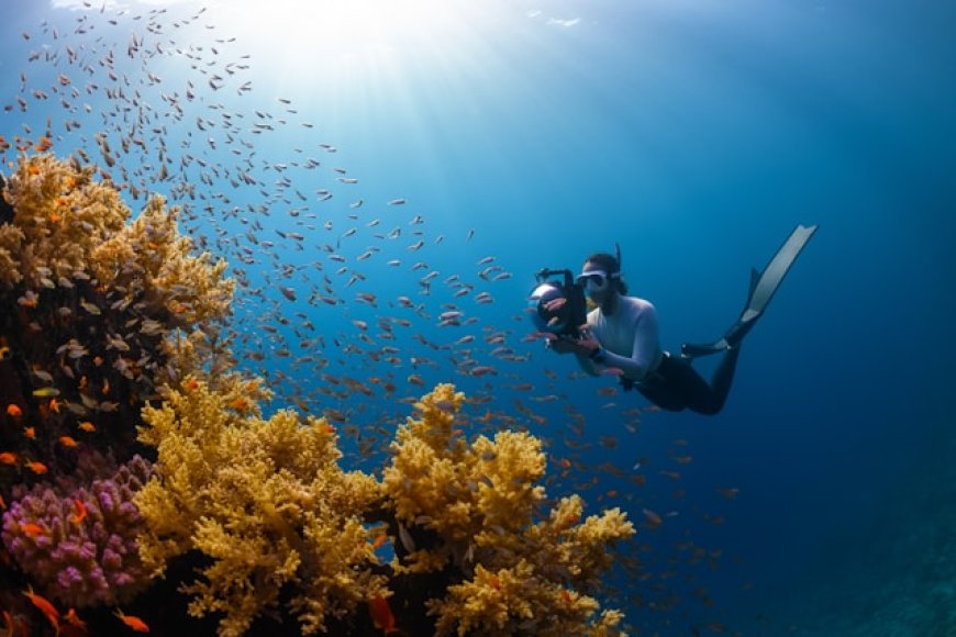 Scuba Diving Activities in Neil Island – Explore the Underwater Paradise