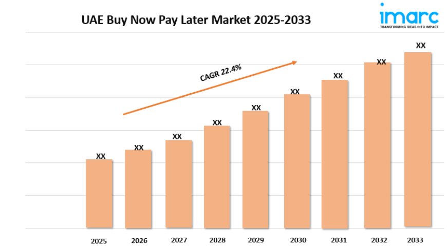 UAE Buy Now Pay Later Market Trends, Growth, and Forecast 2025-2033