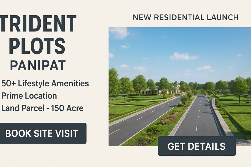 What Makes Trident Plots Panipat Haryana Worth Investing In