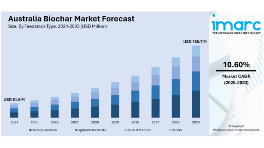 Australia Biochar Market to Reach USD 168.7 Million by 2033