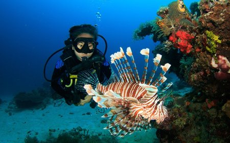 The Place to Get Your PADI Open Water Diver Course in Andaman