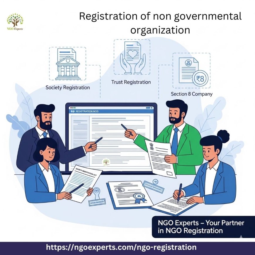 Simple Guide to Registration of Non-Governmental Organization