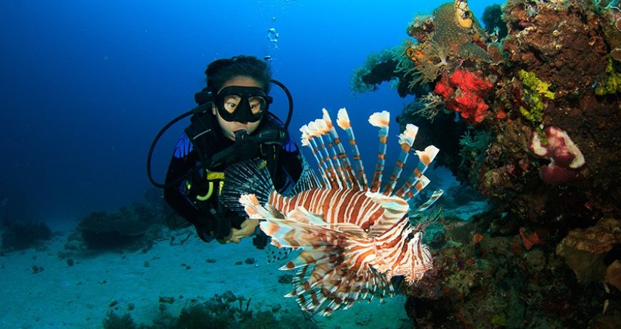 The Place to Get Your PADI Open Water Diver Course in Andaman