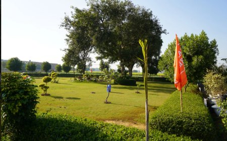 Jewar Airport Near Plots: Unlocking the Next Growth Zone in NCR