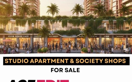 Top Reasons 9268900800 Why ACE Edit Is the Future of Compact Luxury