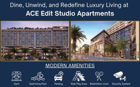 7 Reasons ACE Edit Is the Fastest-Appreciating Property in Sector 22D