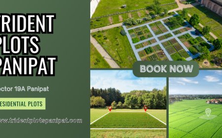 Trident Plots Panipat Shaping Tomorrow’s Living Spaces