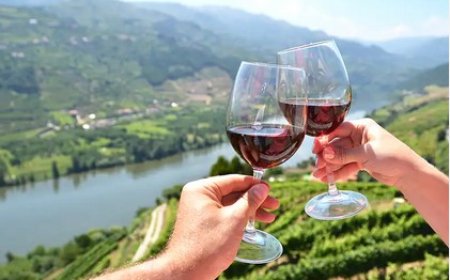 11 Ways to Reach ☎️+