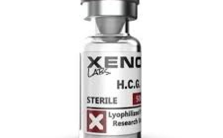 Ryzen Pharmaceuticals Review: Affordable US-Made Steroids and User Results