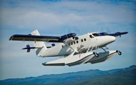 Complete Guide to Contacting Viking Air Department for Name Changes and Cancellations