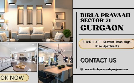 Birla Pravaah Sector 71 Gurgaon A Lifestyle Framed Around Elegance