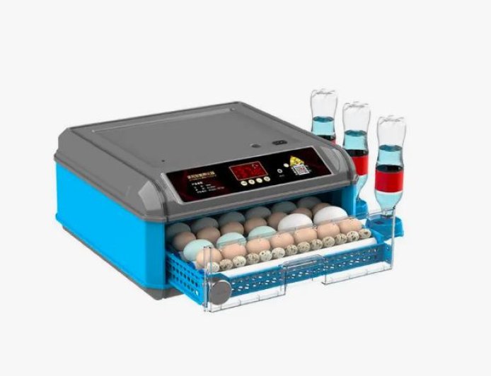 Comment la Couveuse Automatique améliore l’efficacité et la qualité des fermes