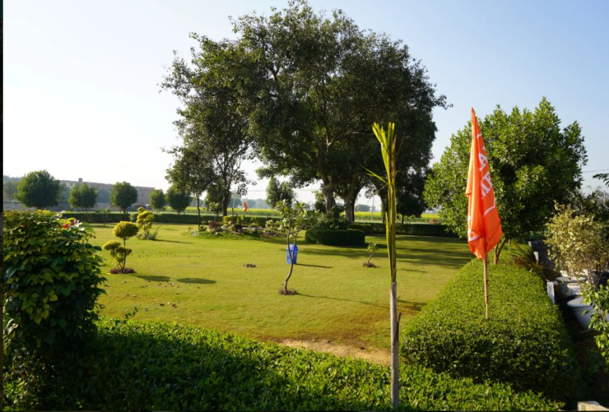 Jewar Airport Near Plots: Unlocking the Next Growth Zone in NCR