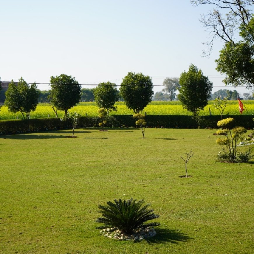 Commercial Plot Near Jewar Airport: A Smart Investment in India's Future Aerotropolis