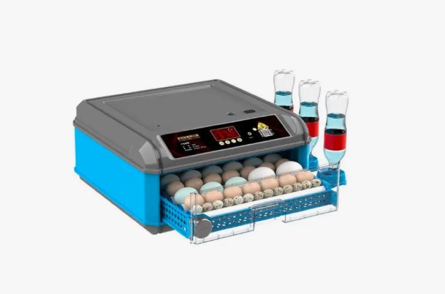 Comment la Couveuse Automatique améliore l’efficacité et la qualité des fermes