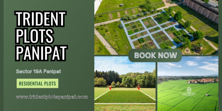 Trident Plots Panipat Shaping Tomorrow’s Living Spaces