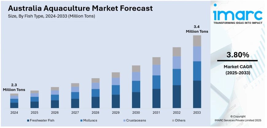 Australia Aquaculture Market Size, Share, Report 2025-2033
