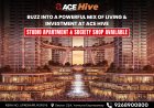 Is ACE Hive a Smart Investment on Yamuna Expressway? Full Analysis