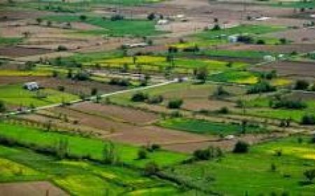 Bricks and Milestones Sarjapur: Prime Plot Opportunities