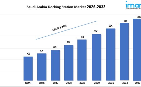 Saudi Arabia Docking Station Market Outlook, Demand and Forecast 2025-2033