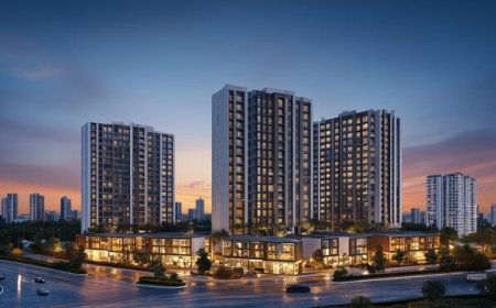 Smart Investment in Clove County Sector 151 Noida