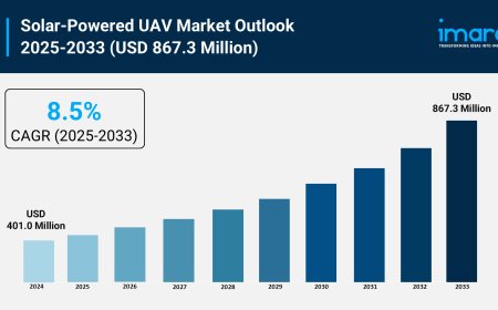 Solar-Powered UAV Market Size, Share, and Growth Analysis 2025-2033