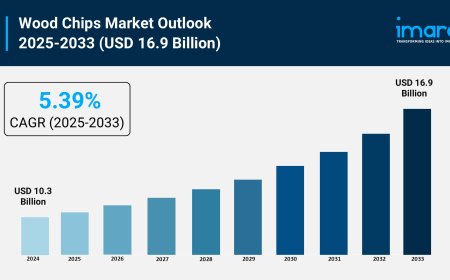 Wood Chips Market Size, Share, Growth, and Forecast 2025–2033