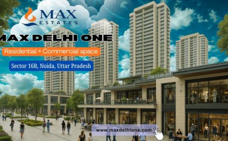 Max Delhi One Price Guide 2025 | Residential & Commercial Costs