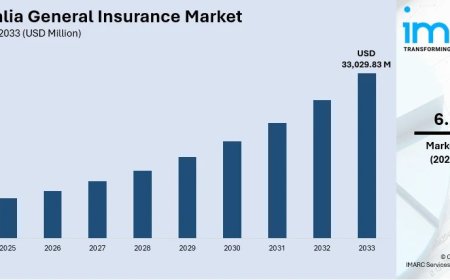 Australia General Insurance Market Size, Share, Report 2025-2033