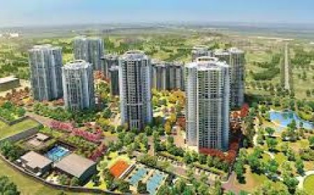 Rohan Sea View in Mannagudda Apartment Investment Guide