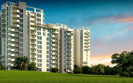 Birla Pravaah Sector 71 Gurgaon: A Thoughtfully Planned Residential Address
