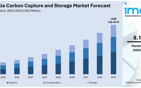 Australia Carbon Capture and Storage Market Projected to Reach USD 120.03 Million by 2033