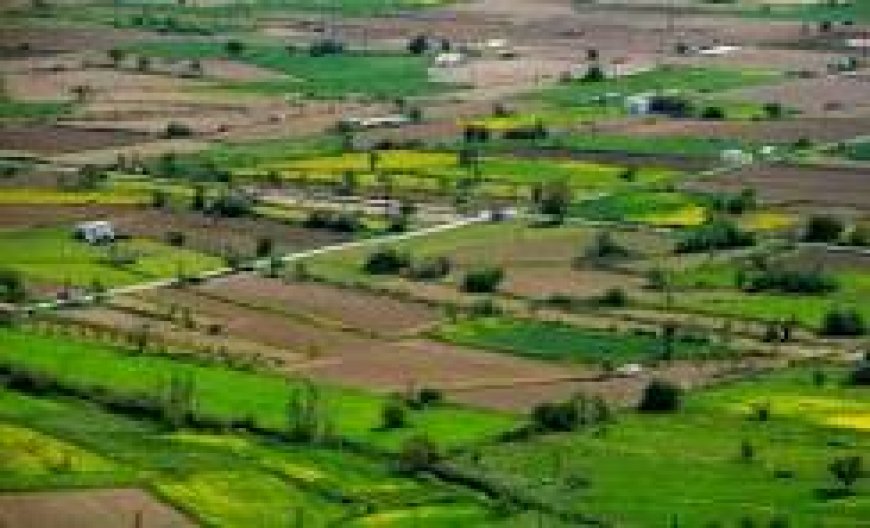 Bricks and Milestones Sarjapur: Prime Plot Opportunities