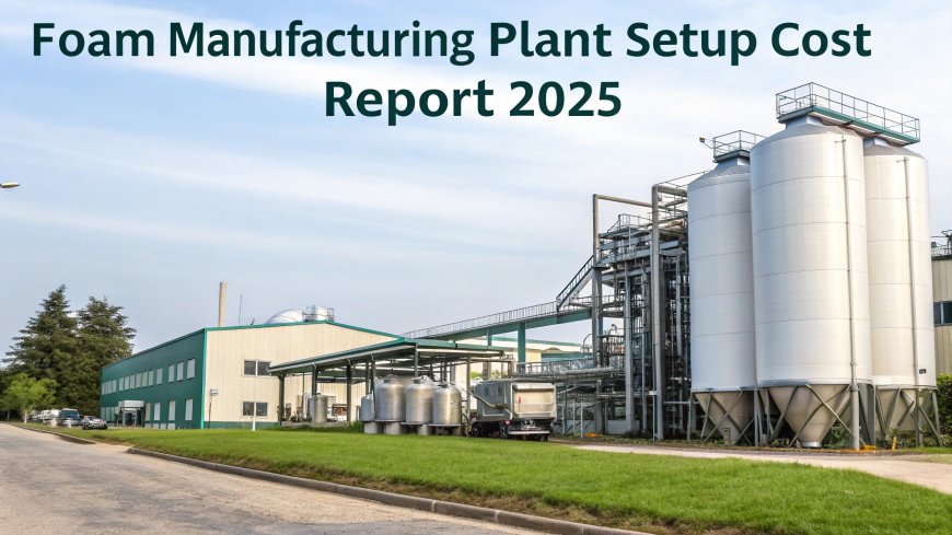 Foam Plant Setup Cost Breakdown with Process & Investment Plan