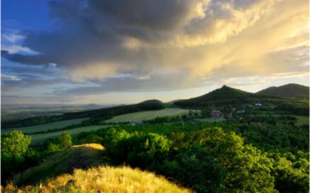 Buy a Lordship Scotland