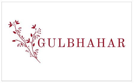 Unleash Elegance with Gulbhahar's Embellished Sarees