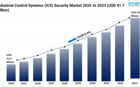 Industrial Control Systems (ICS) Security Market Size and Growth 2025-2033