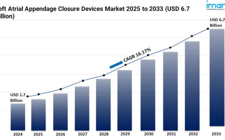 Left Atrial Appendage Closure Devices Market Size and Growth 2025-2033