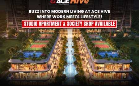 ACE Hive 9268900800 Buyer Checklist – 12 Things to Verify Before Booking